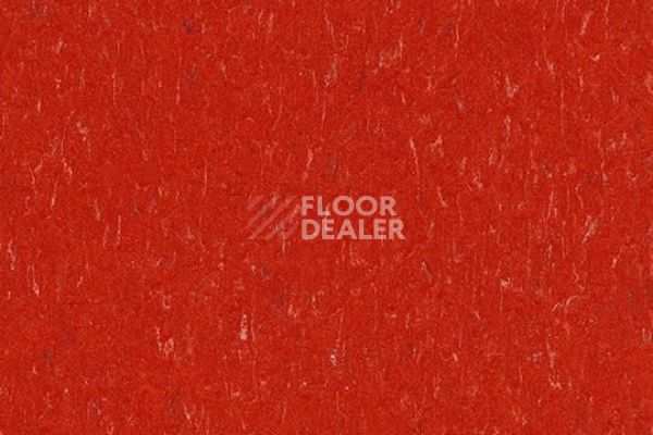 Линолеум Marmoleum Solid Piano 3625-362535 salsa red фото 1 | FLOORDEALER